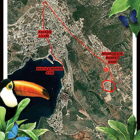 Toucano Peaceful With Nature View, Pool And Jacuzzi * Kalkan