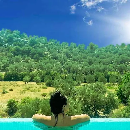 Toucano Peaceful With Nature View, Pool And Jacuzzi Vilă